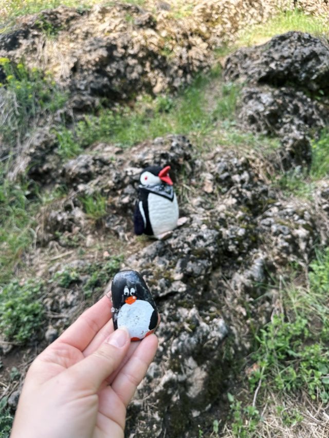 Hand-painted penguin stone #474 hidden at Sharp Rock, Chmelnica, Slovakia (photo 2 of 5)