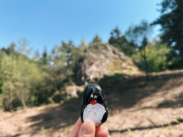 Hand-painted penguin stone #474 hidden at Sharp Rock, Chmelnica, Slovakia (photo 3 of 5)