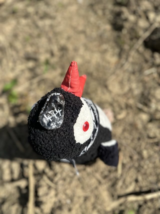 Hand-painted penguin stone #474 hidden at Sharp Rock, Chmelnica, Slovakia (photo 5 of 5)