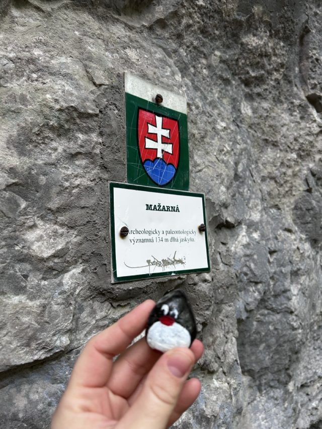Hand-painted penguin stone #486 hidden at Mazarna Cave, Gaderska Dolina, Slovakia (photo 2 of 5)