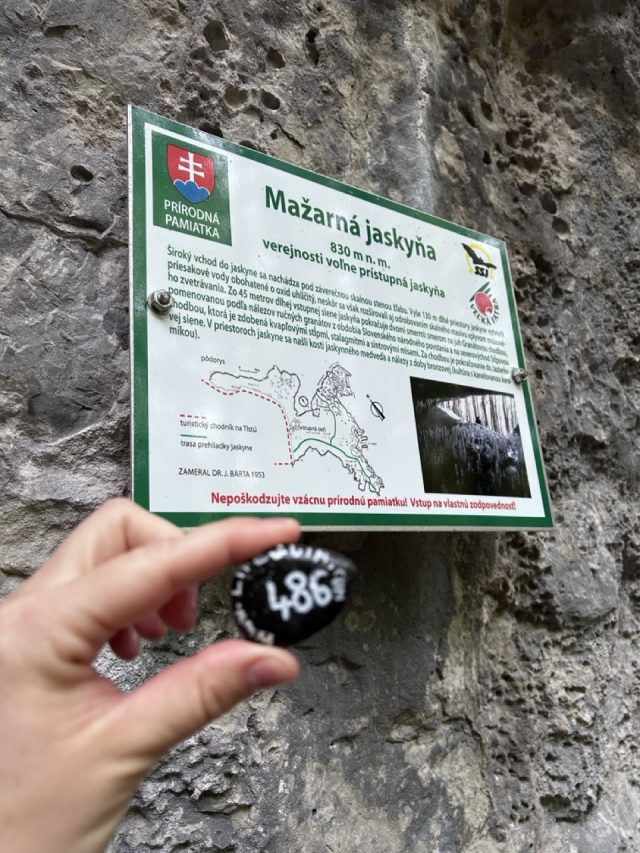 Hand-painted penguin stone #486 hidden at Mazarna Cave, Gaderska Dolina, Slovakia (photo 3 of 5)