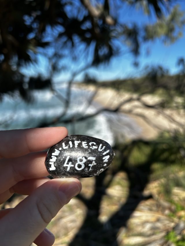 Hand-painted penguin stone #487 hidden at North Stradbroke Island, Brisbane, Australia (photo 2 of 5)