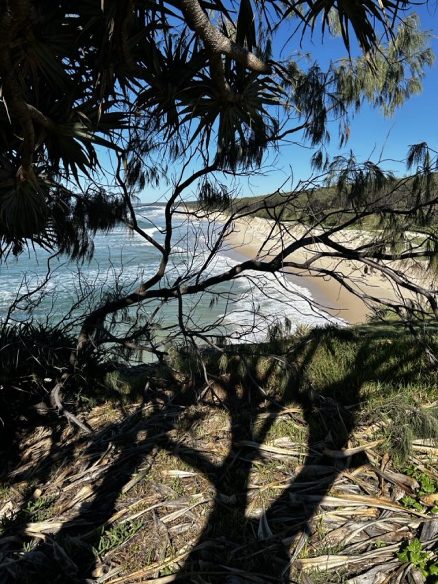 Hand-painted penguin stone #487 hidden at North Stradbroke Island, Brisbane, Australia (photo 3 of 5)