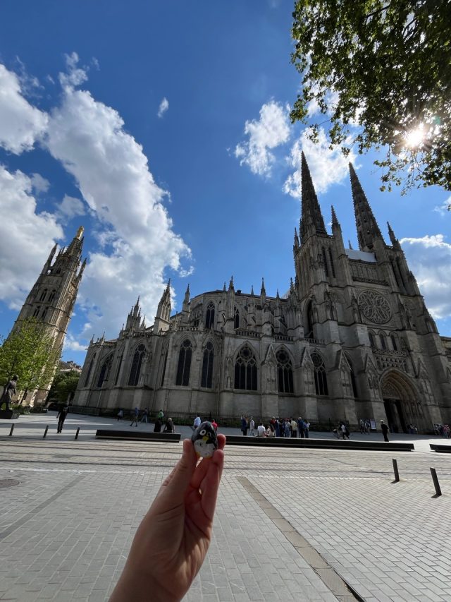 Hand-painted penguin stone #491 hidden at Cathedrale Saint-Andre de Bordeaux, Bordeaux, France (photo 3 of 4)