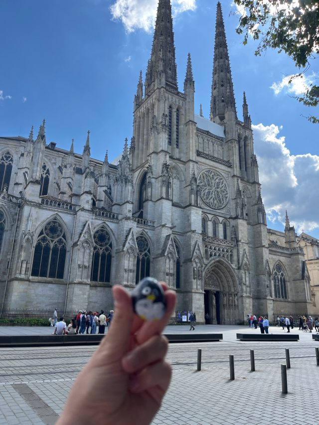 Hand-painted penguin stone #491 hidden at Cathedrale Saint-Andre de Bordeaux, Bordeaux, France (photo 4 of 4)
