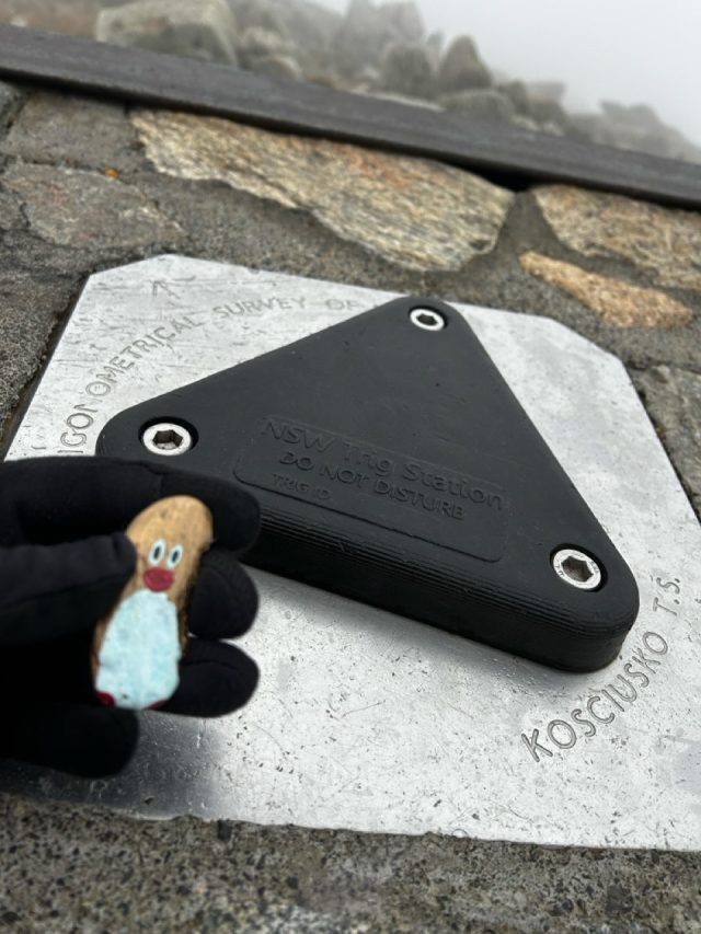 Hand-painted penguin stone #501 hidden at Mount Kosciuszko, Australia (photo 5 of 5)
