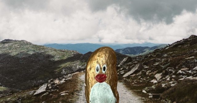 Ručne maľovaný tučniakový kameň č. 501 ukrytý na mieste Mount Kosciuszko, Austrália