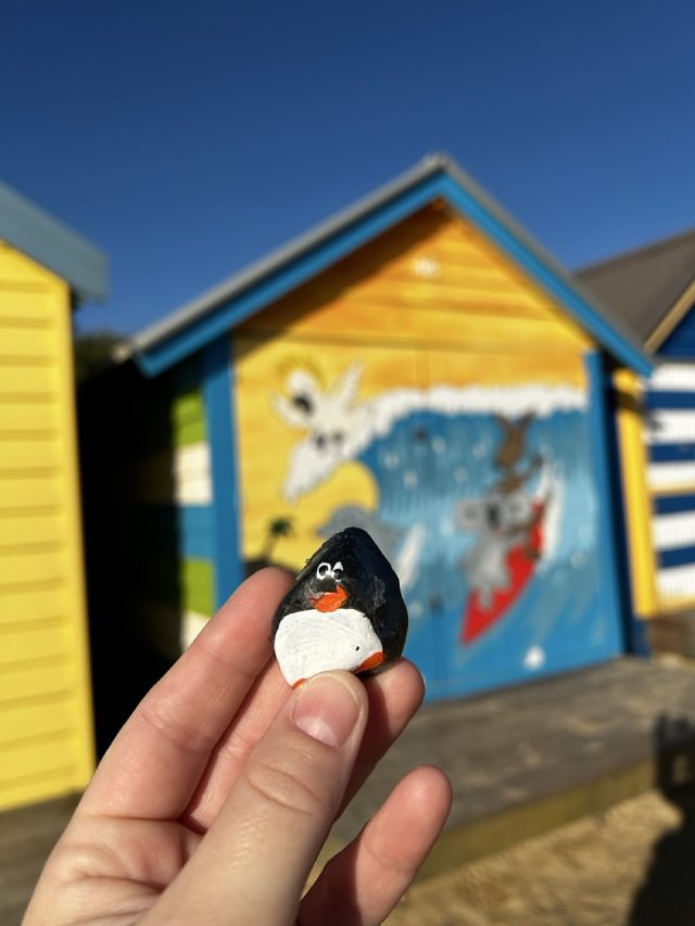 Hand-painted penguin stone #536 hidden at Brighton Beach, Melbourne, Australia (photo 3 of 5)