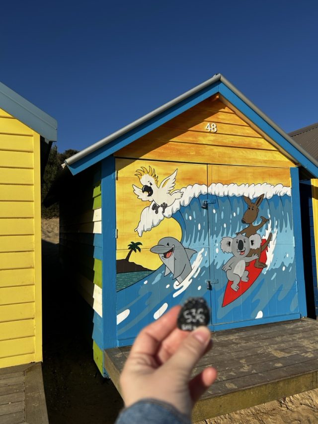 Hand-painted penguin stone #536 hidden at Brighton Beach, Melbourne, Australia (photo 4 of 5)