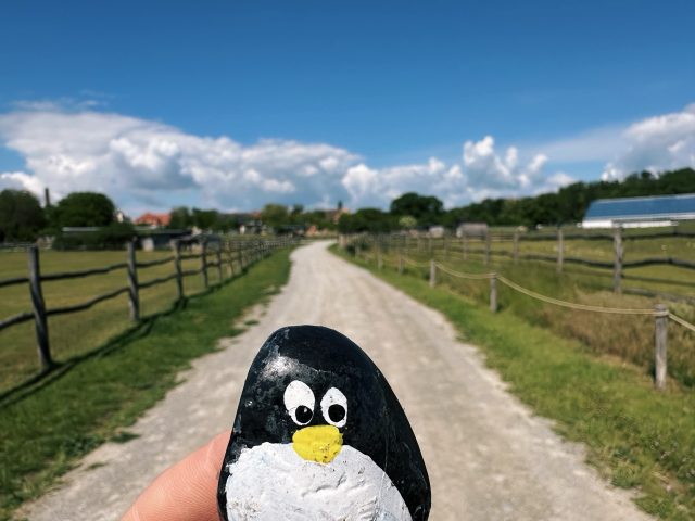 Hand-painted penguin stone #541 hidden at Schloss Hof, Marchfeld, Austria (photo 2 of 5)