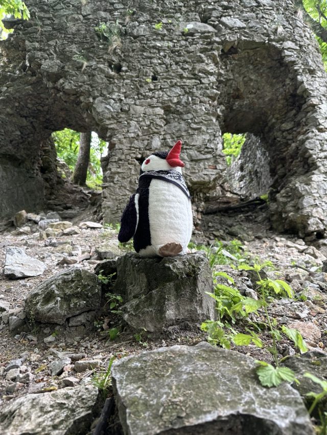Ručne maľovaný tučniakový kameň č. 542 ukrytý na mieste Ostry Kamen Ruins, Little Carpathians, Slovensko (fotka 2 z 5)