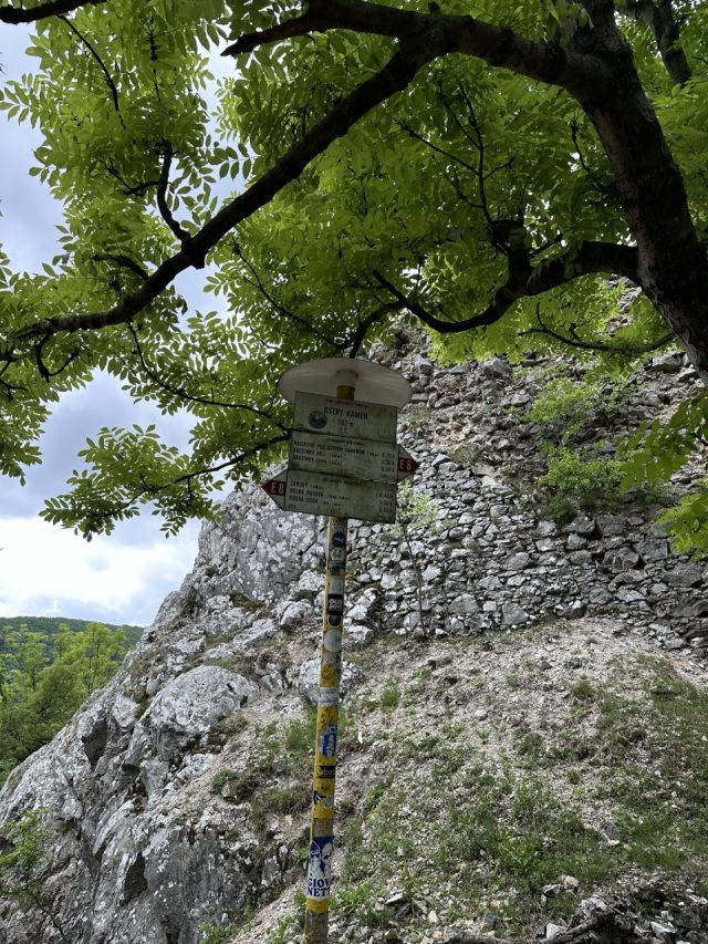 Ručne maľovaný tučniakový kameň č. 542 ukrytý na mieste Ostry Kamen Ruins, Little Carpathians, Slovensko (fotka 3 z 5)