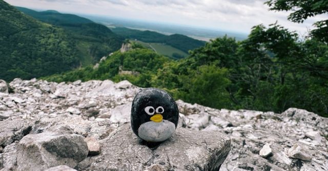 Hand-painted penguin stone #542 hidden at Ostry Kamen Ruins, Little Carpathians, Slovakia