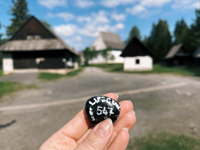 Hand-painted penguin stone #547 hidden at Pribylina Open-Air Museum, Pribylina, Slovakia (photo 3 of 5)