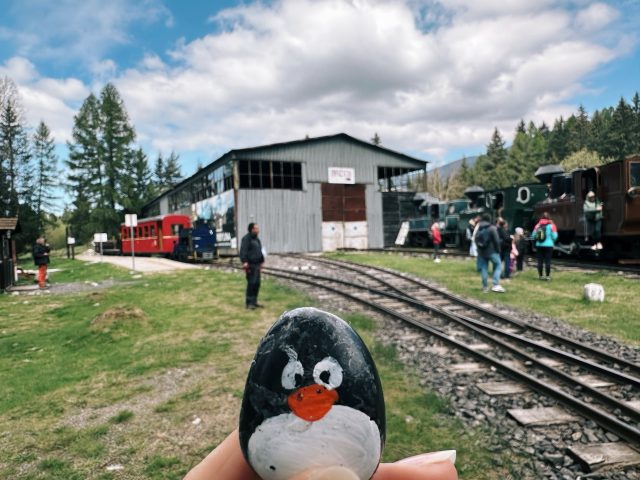 Hand-painted penguin stone #573 hidden at Bears Den, Pribylina, Slovakia (photo 2 of 5)