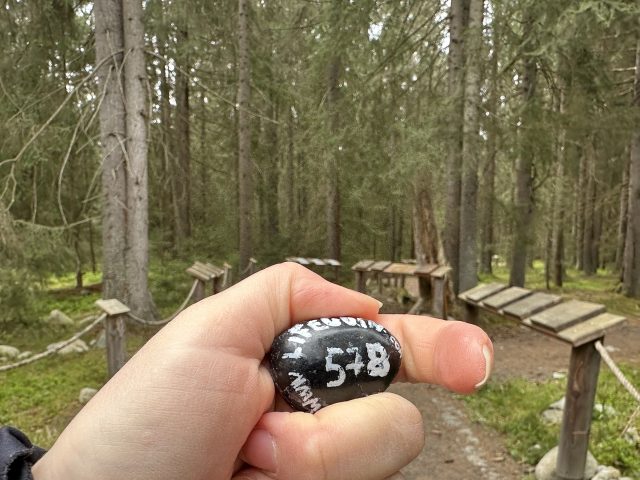 Hand-painted penguin stone #573 hidden at Bears Den, Pribylina, Slovakia (photo 4 of 5)