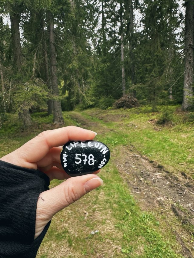 Ručne maľovaný tučniakový kameň č. 578 ukrytý na mieste Račková Dolina, Pribylina, Slovensko (fotka 3 z 5)