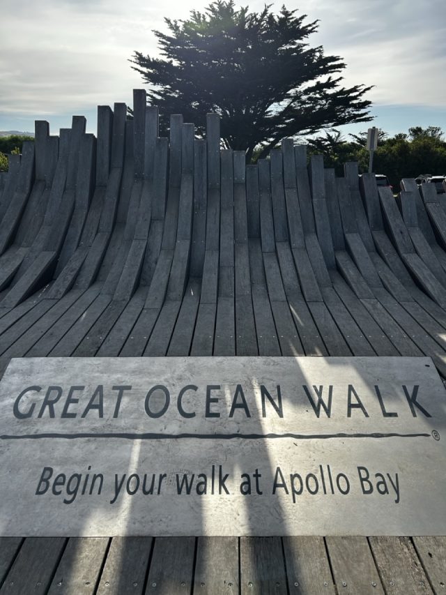 Hand-painted penguin stone #583 hidden at Seals Statue, Apollo Bay, Australia (photo 2 of 5)