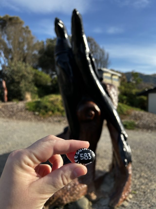 Hand-painted penguin stone #583 hidden at Seals Statue, Apollo Bay, Australia (photo 3 of 5)