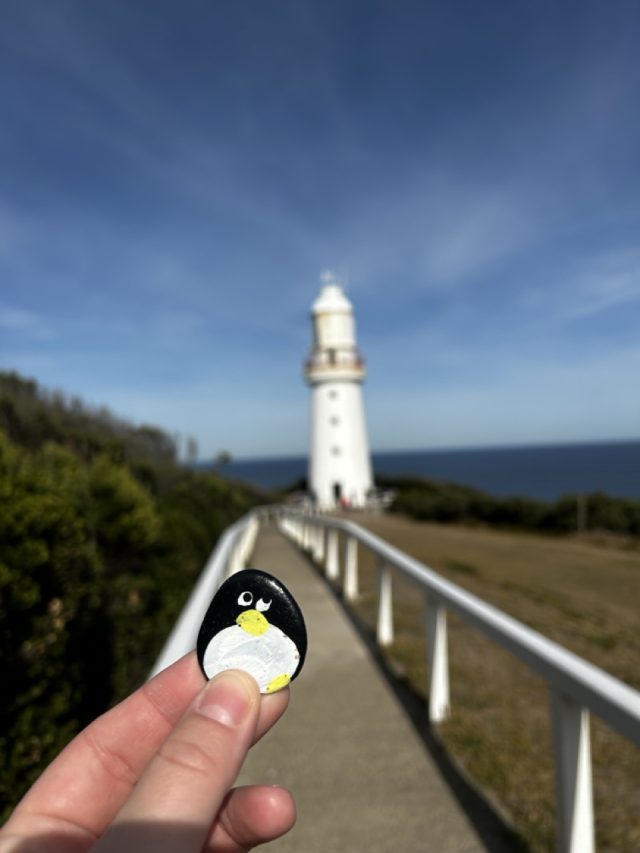 Hand-painted penguin stone #610 hidden at Cape Otway Light Station, Great Otway National Park, Australia (photo 2 of 5)