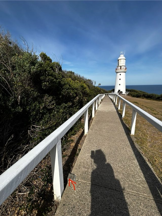 Hand-painted penguin stone #610 hidden at Cape Otway Light Station, Great Otway National Park, Australia (photo 4 of 5)