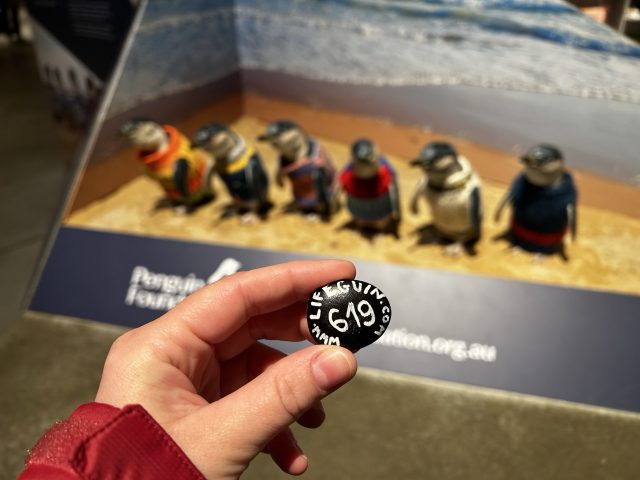 Hand-painted penguin stone #619 hidden at Phillip Island, Melbourne, Australia (photo 2 of 5)