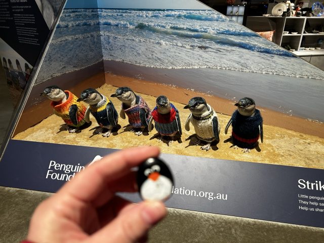 Hand-painted penguin stone #619 hidden at Phillip Island, Melbourne, Australia (photo 3 of 5)