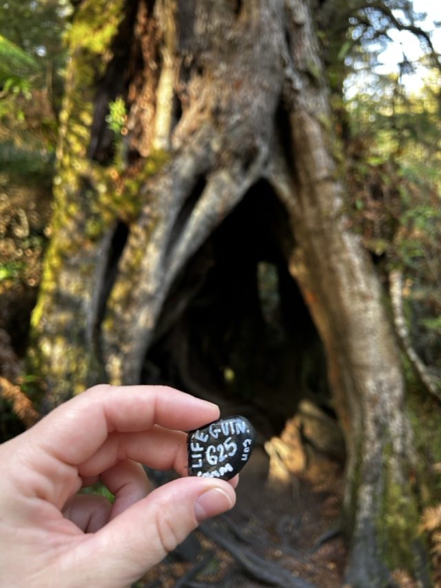 Hand-painted penguin stone #625 hidden at Maits Rest Rainforest Walk, Victoria, Australia (photo 3 of 5)