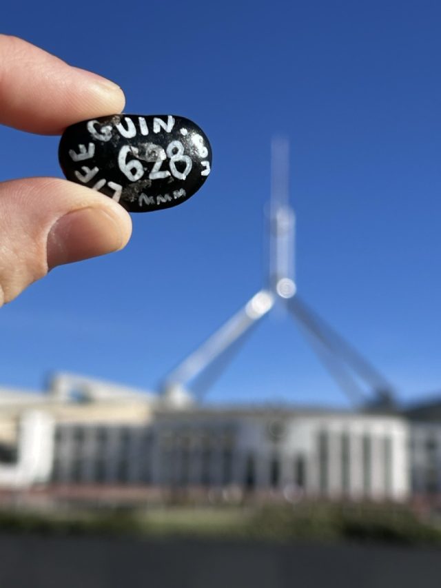 Hand-painted penguin stone #628 hidden at Parliament House, Canberra, Australia (photo 2 of 5)
