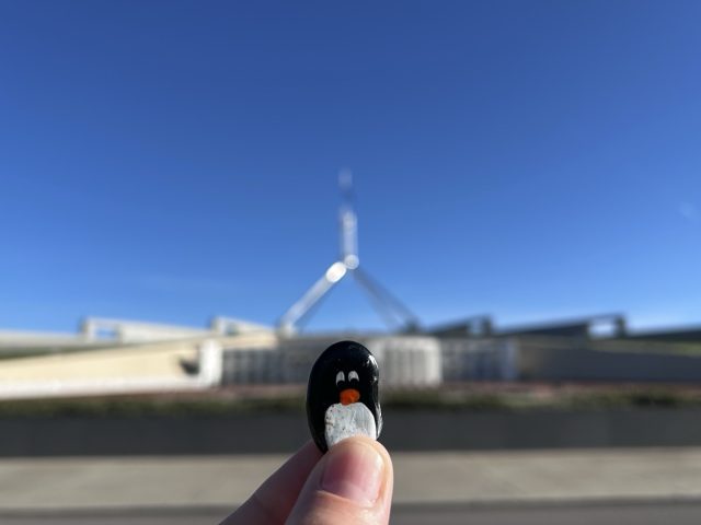Hand-painted penguin stone #628 hidden at Parliament House, Canberra, Australia (photo 3 of 5)