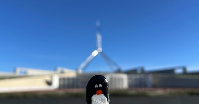 Ručne maľovaný tučniakový kameň č. 628 ukrytý na mieste Parliament House, Canberra, Austrália