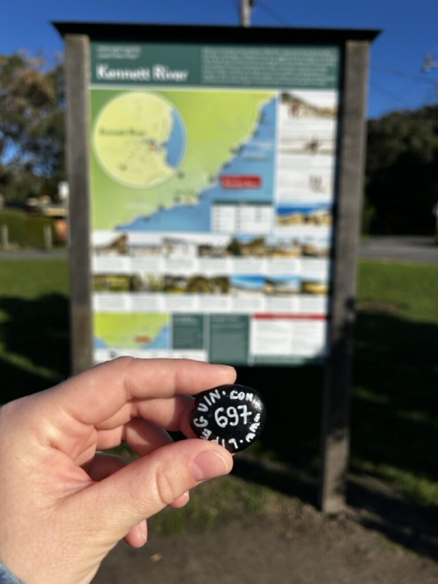 Hand-painted penguin stone #697 hidden at Great Ocean Road, Kennett River, Australia (photo 4 of 5)