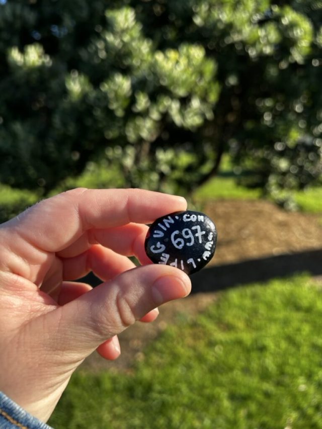 Hand-painted penguin stone #697 hidden at Great Ocean Road, Kennett River, Australia (photo 5 of 5)