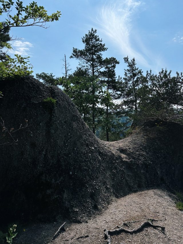 Hand-painted penguin stone #166 hidden at Sulov Rocks Boulder, Sulov Rocks, Slovakia (photo 4 of 5)