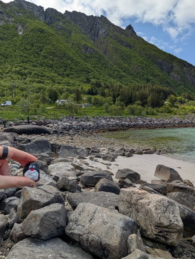 Hand-painted penguin stone #320 hidden at Rorvikstranda, Kabelvag, Norway (photo 3 of 5)