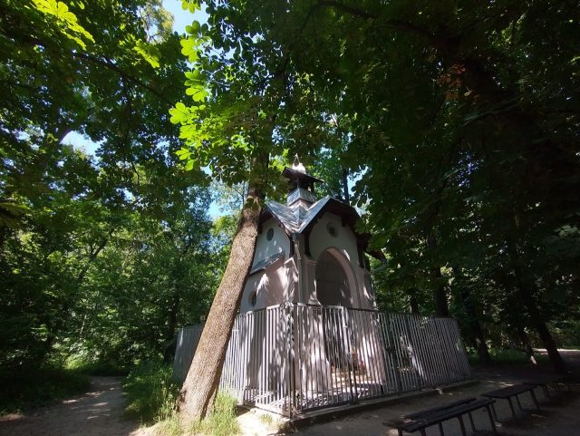 Hand-painted penguin stone #321 hidden at Chapel of the Holy Cross, Bratislava, Slovakia (photo 3 of 5)