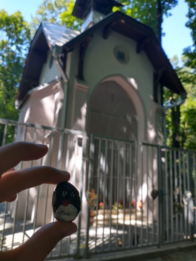 Hand-painted penguin stone #321 hidden at Chapel of the Holy Cross, Bratislava, Slovakia (photo 5 of 5)
