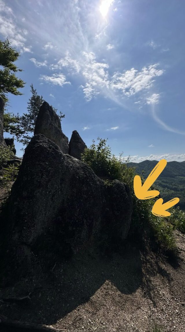 Hand-painted penguin stone #340 hidden at Viewpoint, Sulov Rocks, Slovakia (photo 2 of 5)