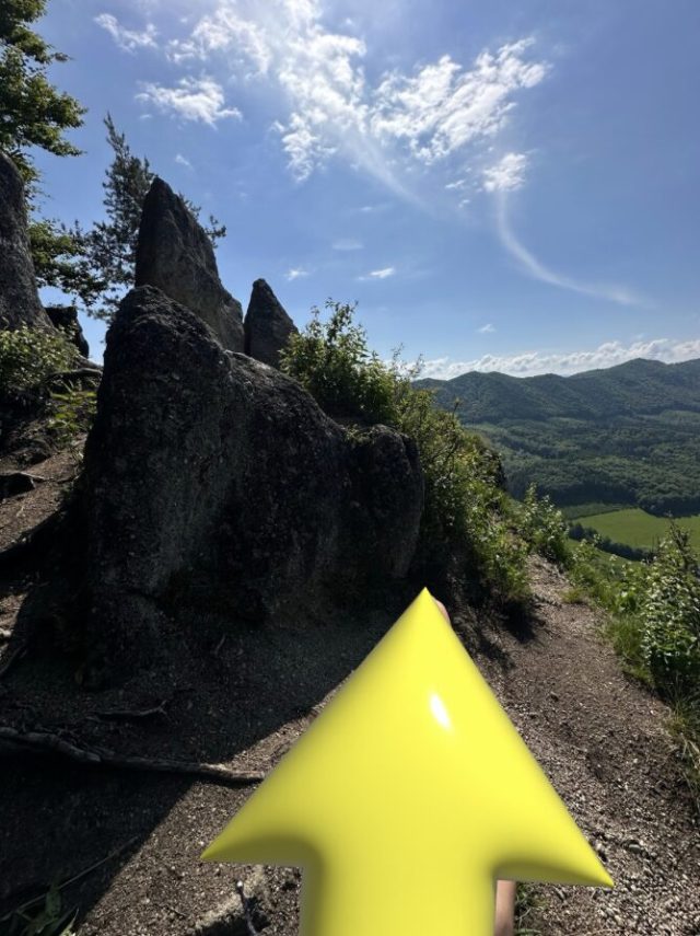 Hand-painted penguin stone #340 hidden at Viewpoint, Sulov Rocks, Slovakia (photo 4 of 5)