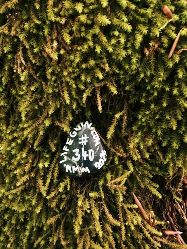 Hand-painted penguin stone #340 hidden at Viewpoint, Sulov Rocks, Slovakia (photo 5 of 5)