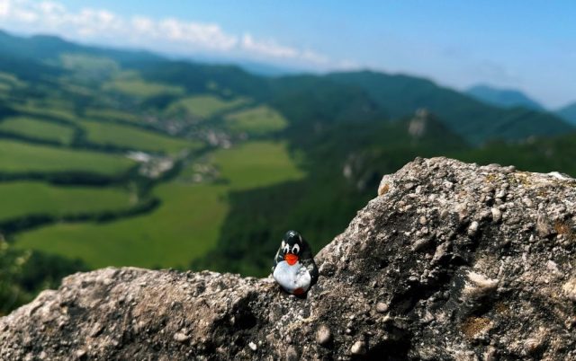 Hand-painted penguin stone #340 hidden at Viewpoint, Sulov Rocks, Slovakia