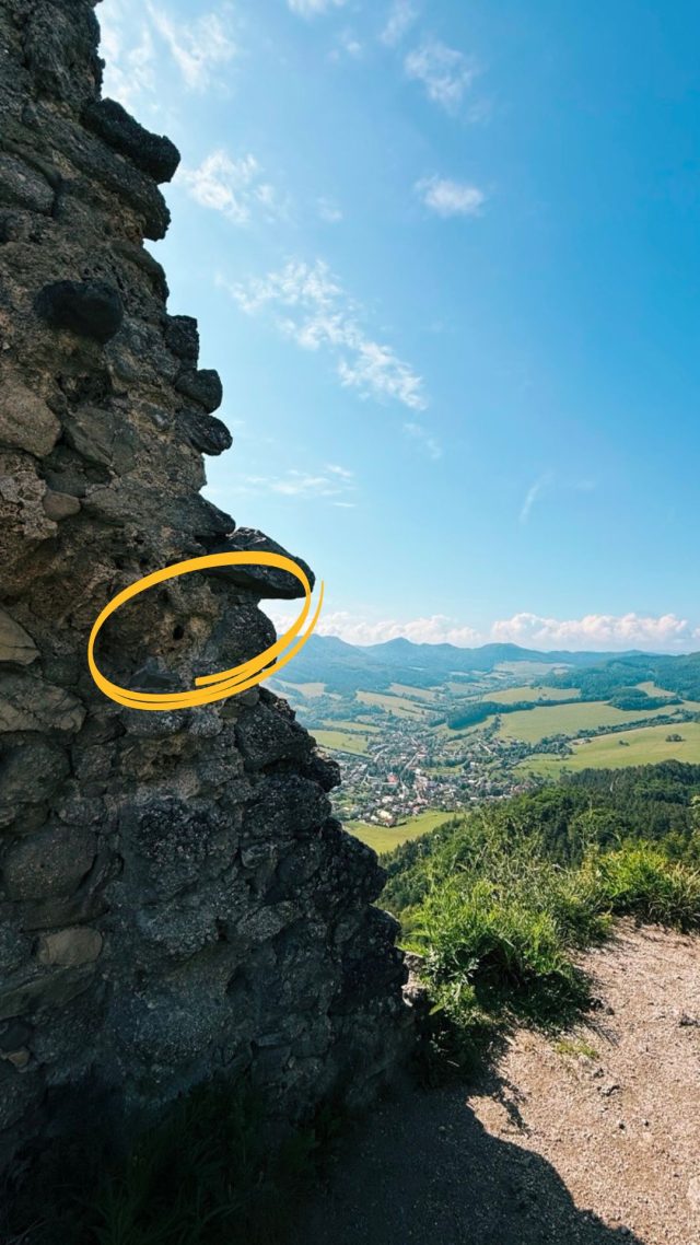 Hand-painted penguin stone #346 hidden at Sulov Castle Ruins, Sulov Rocks, Slovakia (photo 2 of 5)
