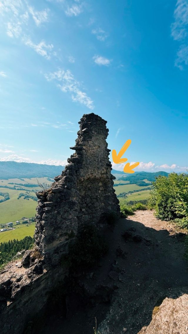 Hand-painted penguin stone #346 hidden at Sulov Castle Ruins, Sulov Rocks, Slovakia (photo 3 of 5)