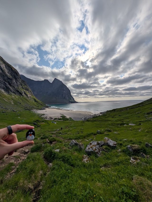 Hand-painted penguin stone #364 hidden at Kvalvika Beach, Moskenes, Norway (photo 4 of 5)