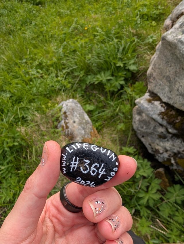 Hand-painted penguin stone #364 hidden at Kvalvika Beach, Moskenes, Norway (photo 5 of 5)