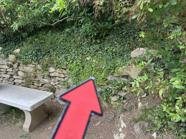 Hand-painted penguin stone #387 hidden at Cervena Lhota Castle, Jizna, Czechia (photo 5 of 5)