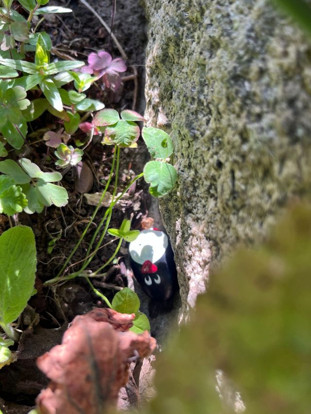 Ručne maľovaný tučniakový kameň č. 410 ukrytý na mieste Loupin Stane, Aberdeen, Spojené kráľovstvo (fotka 2 z 5)