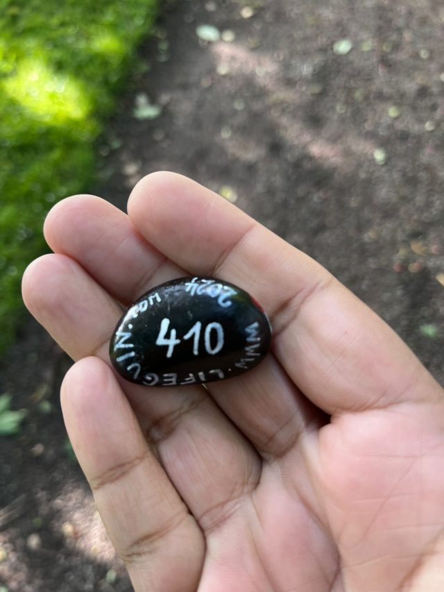 Ručne maľovaný tučniakový kameň č. 410 ukrytý na mieste Loupin Stane, Aberdeen, Spojené kráľovstvo (fotka 4 z 5)