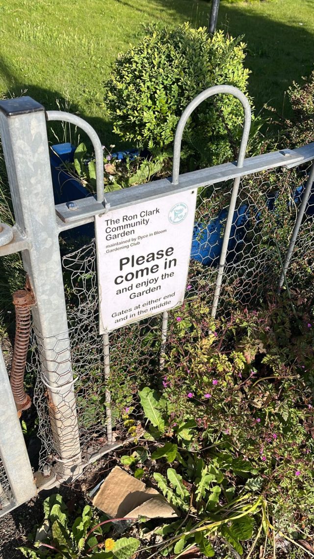 Ručne maľovaný tučniakový kameň č. 410 ukrytý na mieste Loupin Stane, Aberdeen, Spojené kráľovstvo (fotka 5 z 5)