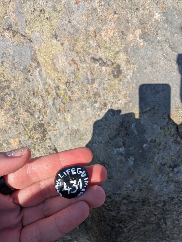 Hand-painted penguin stone #431 hidden at Reinebringen, Reine, Norway (photo 2 of 5)